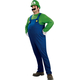 Luigi Halloween Costume