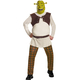 Shrek Adult Costume
