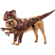 Raptor Pet Costume