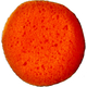Sponge Cosmetic