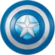 Stealth Shield 24 In